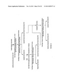 Protein concentrates and isolates, and processes for the production     thereof from toasted oilseed meal diagram and image