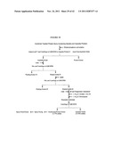 Protein concentrates and isolates, and processes for the production     thereof from toasted oilseed meal diagram and image