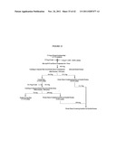 Protein concentrates and isolates, and processes for the production     thereof from toasted oilseed meal diagram and image