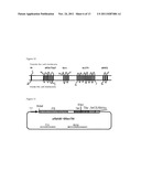 EXPRESSION VECTOR CONTAINING THE MAJOR ENVELOPE PROTEIN P9 OF CYSTOVIRUS     PHI6 AS A FUSION PARTNER, AND PROCESS FOR PRODUCING A MEMBRANE PROTEIN     USING THE SAME diagram and image