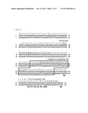 EXPRESSION VECTOR CONTAINING THE MAJOR ENVELOPE PROTEIN P9 OF CYSTOVIRUS     PHI6 AS A FUSION PARTNER, AND PROCESS FOR PRODUCING A MEMBRANE PROTEIN     USING THE SAME diagram and image