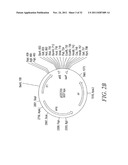 RECOMBINATIONAL CLONING USING ENGINEERED RECOMBINATION SITES diagram and image