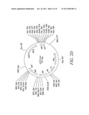 RECOMBINATIONAL CLONING USING ENGINEERED RECOMBINATION SITES diagram and image