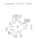 RECOMBINATIONAL CLONING USING ENGINEERED RECOMBINATION SITES diagram and image