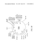 RECOMBINATIONAL CLONING USING ENGINEERED RECOMBINATION SITES diagram and image