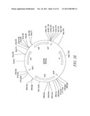 RECOMBINATIONAL CLONING USING ENGINEERED RECOMBINATION SITES diagram and image