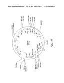 RECOMBINATIONAL CLONING USING ENGINEERED RECOMBINATION SITES diagram and image