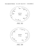 RECOMBINATIONAL CLONING USING ENGINEERED RECOMBINATION SITES diagram and image