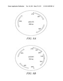 RECOMBINATIONAL CLONING USING ENGINEERED RECOMBINATION SITES diagram and image