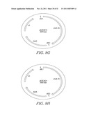 RECOMBINATIONAL CLONING USING ENGINEERED RECOMBINATION SITES diagram and image