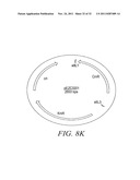 RECOMBINATIONAL CLONING USING ENGINEERED RECOMBINATION SITES diagram and image