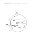 GENETICALLY MODIFIED YEAST SPECIES, AND FERMENTATION PROCESSES USING     GENETICALLY MODIFIED YEAST diagram and image