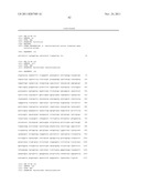 GENETICALLY MODIFIED YEAST SPECIES, AND FERMENTATION PROCESSES USING     GENETICALLY MODIFIED YEAST diagram and image