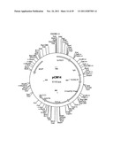 GENETICALLY MODIFIED YEAST SPECIES, AND FERMENTATION PROCESSES USING     GENETICALLY MODIFIED YEAST diagram and image