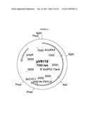 GENETICALLY MODIFIED YEAST SPECIES, AND FERMENTATION PROCESSES USING     GENETICALLY MODIFIED YEAST diagram and image