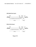 BLOOD GROUP ANTIGENS OF DIFFERENT TYPES FOR DIAGNOSTIC AND THERAPEUTIC     APPLICATIONS diagram and image