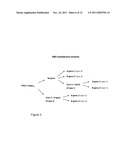 BLOOD GROUP ANTIGENS OF DIFFERENT TYPES FOR DIAGNOSTIC AND THERAPEUTIC     APPLICATIONS diagram and image