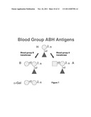 BLOOD GROUP ANTIGENS OF DIFFERENT TYPES FOR DIAGNOSTIC AND THERAPEUTIC     APPLICATIONS diagram and image