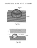 MEASUREMENT OF MATERIAL PROPERTIES AND RELATED METHODS AND COMPOSITIONS     BASED ON CYTOADHERENCE diagram and image