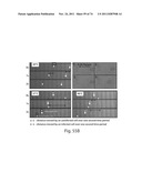 MEASUREMENT OF MATERIAL PROPERTIES AND RELATED METHODS AND COMPOSITIONS     BASED ON CYTOADHERENCE diagram and image