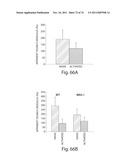 MEASUREMENT OF MATERIAL PROPERTIES AND RELATED METHODS AND COMPOSITIONS     BASED ON CYTOADHERENCE diagram and image