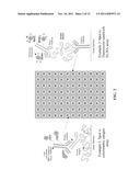 FRAMELESS MULTIPLEXED MICROARRAYS diagram and image