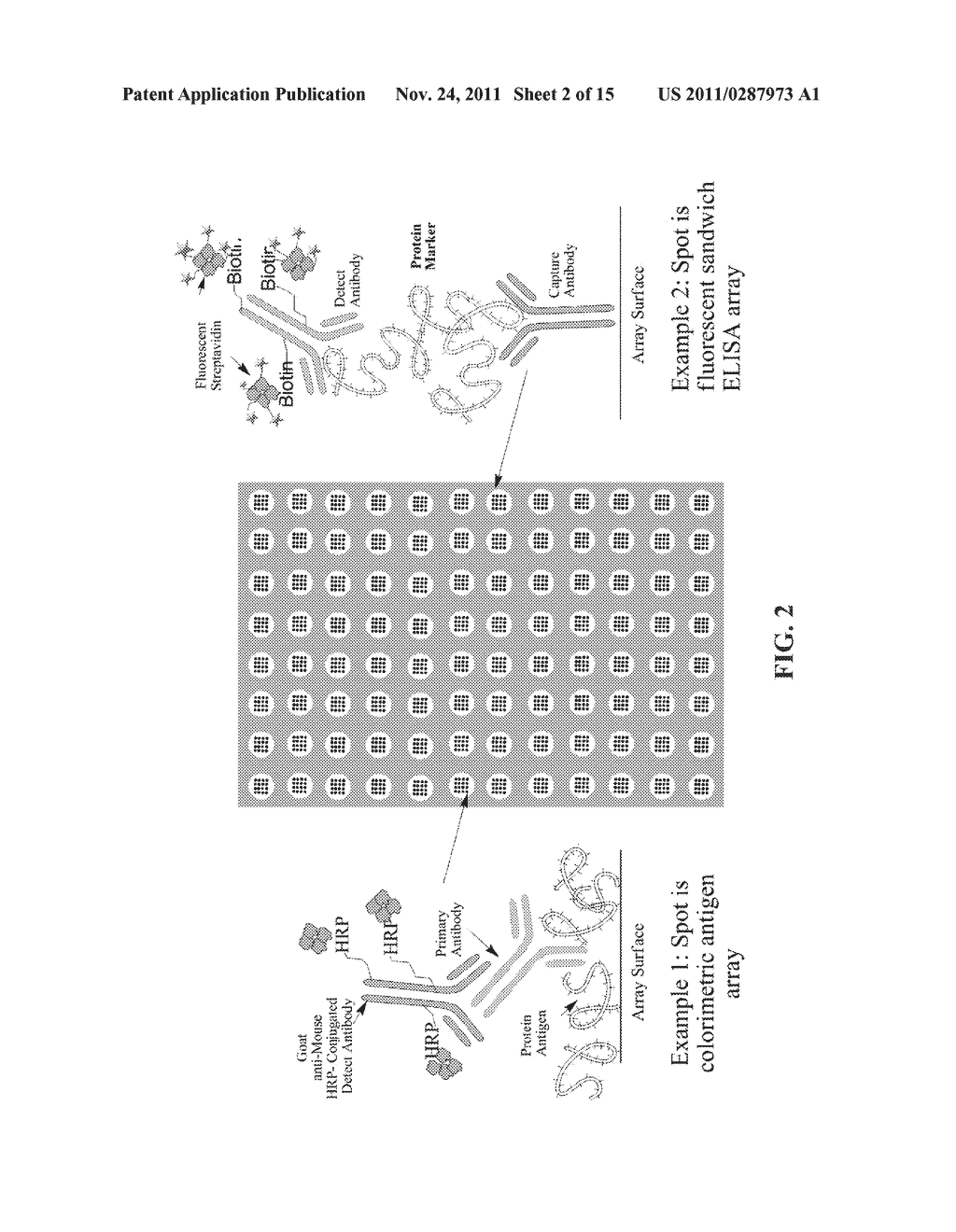 FRAMELESS MULTIPLEXED MICROARRAYS - diagram, schematic, and image 03