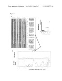 Methods and Compositions for Correlating Genetic Markers with Conversion     of Medium Chain Polyunsaturated Fatty Acids to Long Chain Polyunsaturated     Fatty Acids diagram and image