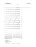 NOVEL BAG PROTEINS AND NUCLEIC ACID MOLECULES ENCODING THEM diagram and image