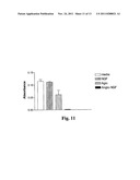 ADMINISTRATION OF ANGIOCIDIN FOR THE TREATMENT OF CANCER diagram and image