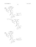 ANTIBACTERIAL AMINOGLYCOSIDE ANALOGS diagram and image