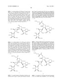 ANTIBACTERIAL AMINOGLYCOSIDE ANALOGS diagram and image