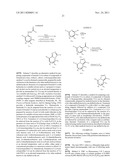 TRIAZOLOPYRIDINE 11-BETA HYDROXYSTEROID DEHYDROGENASE TYPE I INHIBITORS diagram and image