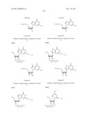 ANTIVIRAL PHOSPHONATE ANALOGS diagram and image