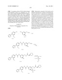 ANTIVIRAL PHOSPHONATE ANALOGS diagram and image