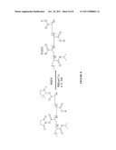 Biodegradable polymer system diagram and image