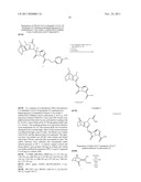 NOVEL FUSED BRIDGED BICYCLIC HETEROARYL SUBSTITUTED 6-ALKYLIDENE PENEMS AS     POTENT  BETA-LACTAMASE INHIBITORS diagram and image