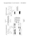 TRIGGERED COVALENT PROBES FOR IMAGING AND SILENCING GENETIC EXPRESSION diagram and image