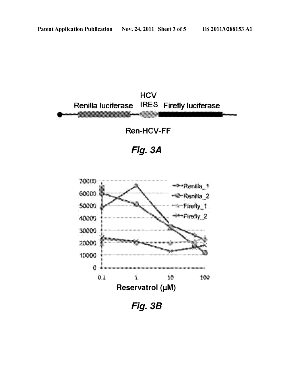 TRANSLATION FACTORS AS ANTI-AGING DRUG TARGETS - diagram, schematic, and image 04