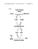 METHODS FOR TREATMENT OF THIOL-CONTAINING COMPOUND DEFICIENT CONDITIONS diagram and image