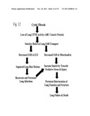 METHODS FOR TREATMENT OF THIOL-CONTAINING COMPOUND DEFICIENT CONDITIONS diagram and image