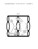 METHODS FOR TREATMENT OF THIOL-CONTAINING COMPOUND DEFICIENT CONDITIONS diagram and image