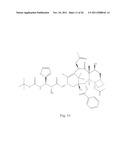 TRANSITION METAL COMPLEXES OF A BIS[THIO-HYDRAZIDE AMIDE] COMPOUNDS diagram and image