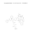 TRANSITION METAL COMPLEXES OF A BIS[THIO-HYDRAZIDE AMIDE] COMPOUNDS diagram and image