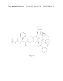 TRANSITION METAL COMPLEXES OF A BIS[THIO-HYDRAZIDE AMIDE] COMPOUNDS diagram and image