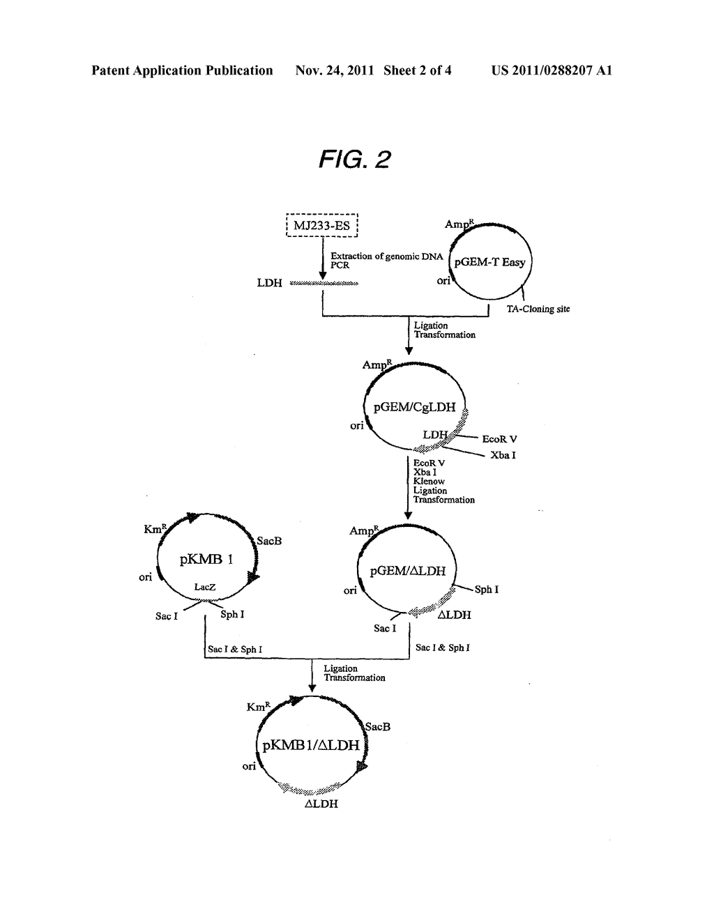 BIOMASS-RESOURCE-DERIVED POLYESTER AND PRODUCTION PROCESS THEREOF - diagram, schematic, and image 03