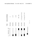 Modified Proteins, Designer Toxins, and Methods of Making Thereof diagram and image