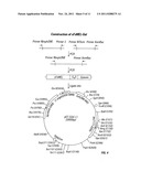 Modified Proteins, Designer Toxins, and Methods of Making Thereof diagram and image