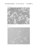 NERVE REGENERATION-INDUCING TUBE diagram and image