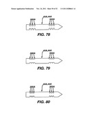 Method and Apparatus for Fixing a Graft in a Bone Tunnel diagram and image